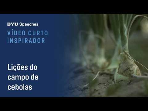 Lições do campo de cebolas