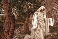 Jesus Christ walking through a grove of trees.