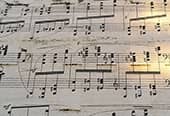 music notes