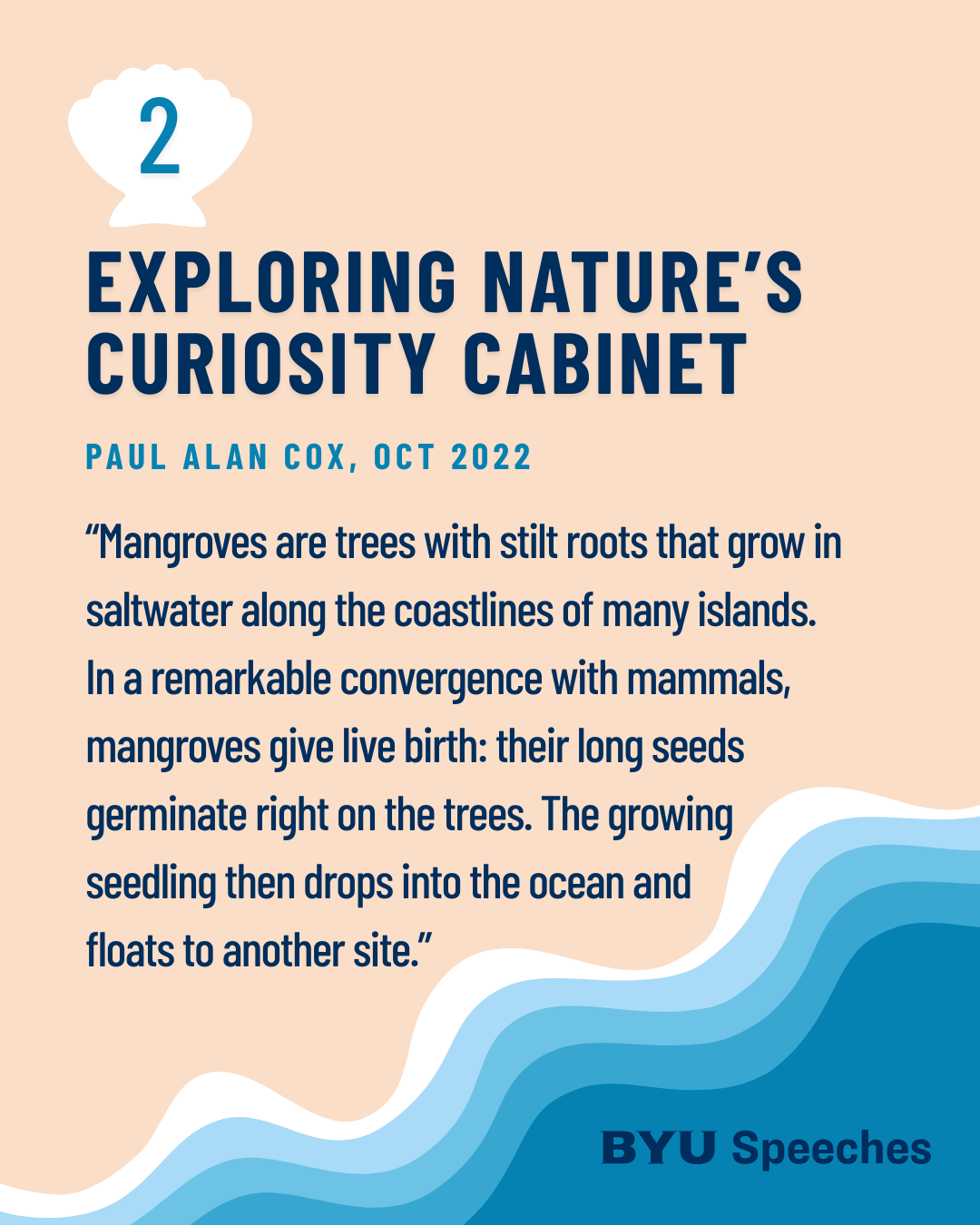 “Exploring Nature’s Curiosity Cabinet” by Paul Alan Cox “Mangroves are trees with stilt roots that grow in saltwater along the coastlines of many islands. In a remarkable convergence with mammals, mangroves give live birth: their long seeds germinate right on the trees. The growing seedling then drops into the ocean and floats to another site.”