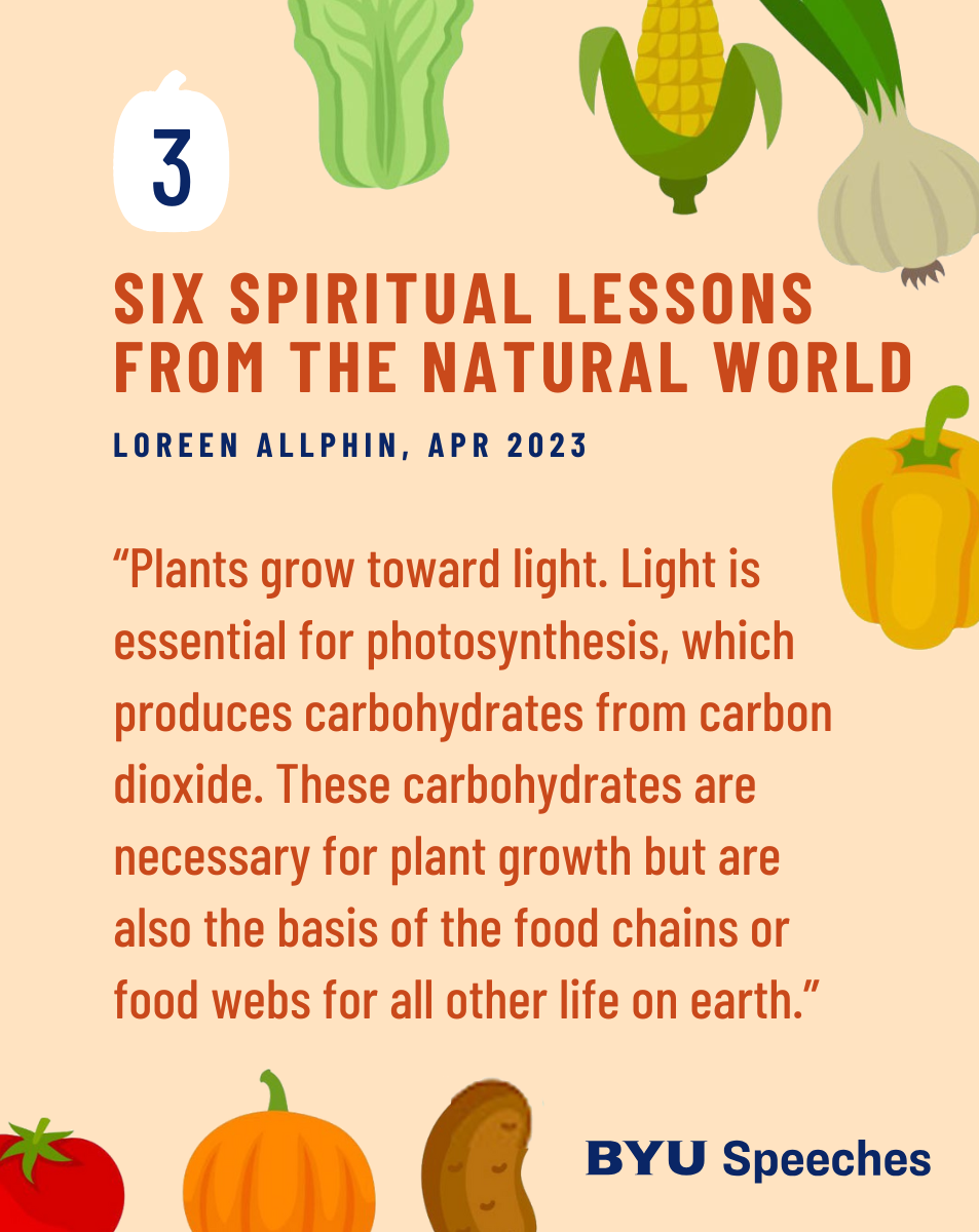 “Six Spiritual Lessons from the Natural World” by Loreen Allphin “Plants grow toward light. Light is essential for photosynthesis, which produces carbohydrates from carbon dioxide. These carbohydrates are necessary for plant growth but are also the basis of the food chains or food webs for all other life on earth.”