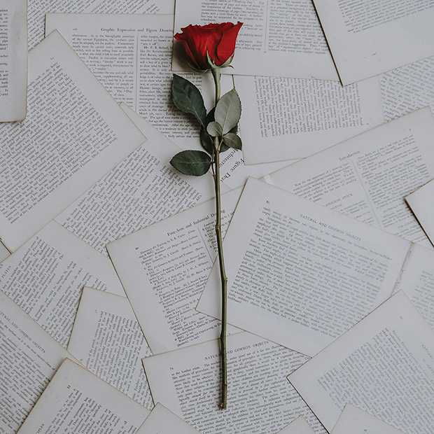 A single red rose placed upon scattered book pages.