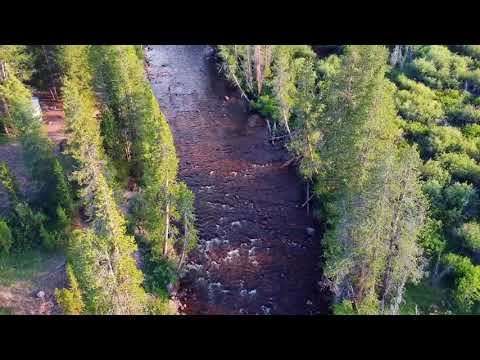 The Streams of Your Life