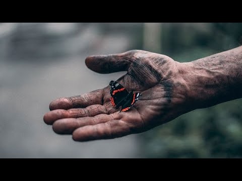 Full Video thumbnail
