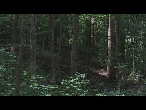 Full Video thumbnail