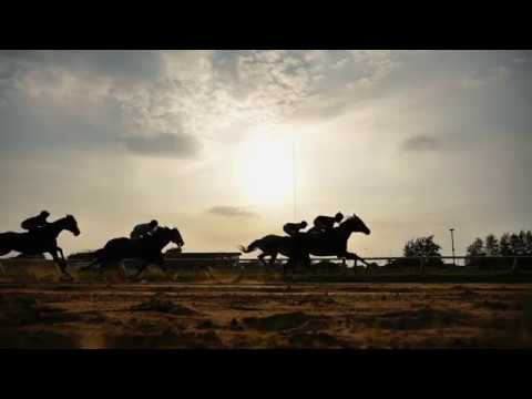 Run Like a Horse
