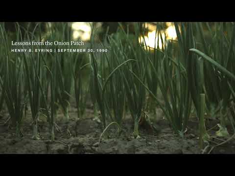 Lessons from the Onion Patch