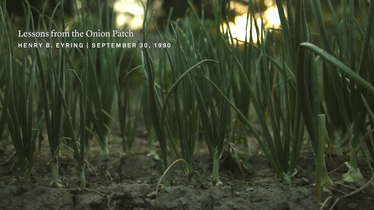 Lessons from the Onion Patch thumbnail