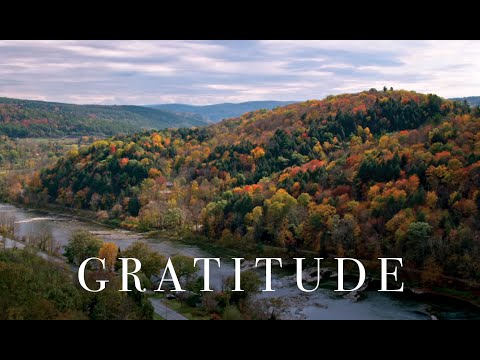 Gratitude Over the Years